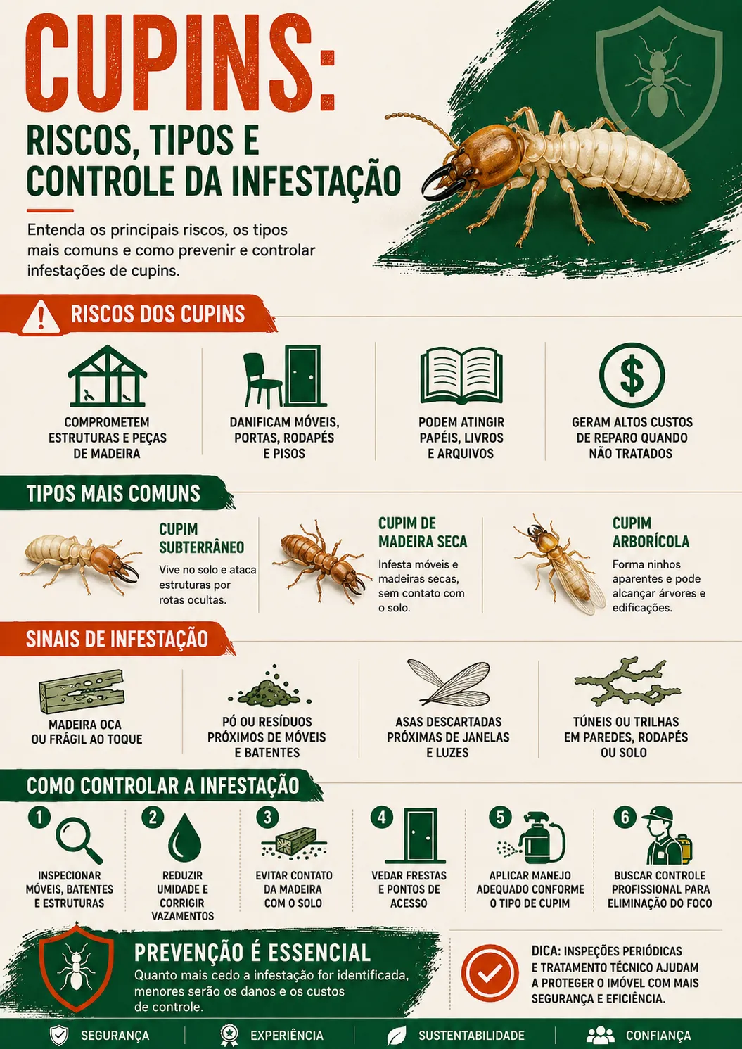 Infográfico detalhado com dicas de como identificar e prevenir cupins