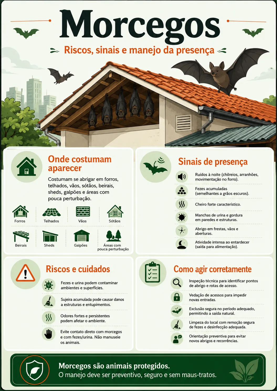 Infográfico detalhado com dicas de como identificar sinais e evitar morcegos em forros e telhados